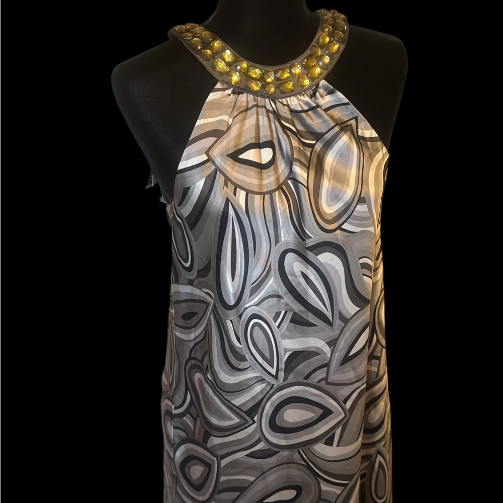 Beautiful silk embellished dress